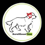 aravalikennelzone Profile Picture