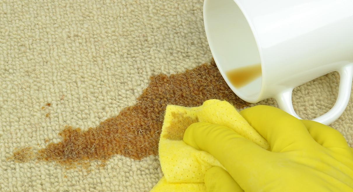 Fresh 'N' Green Low-Moisture Carpet Cleaning | Spot and Stain Removal