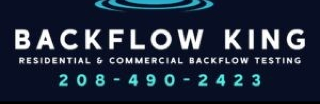 backflow king Cover Image