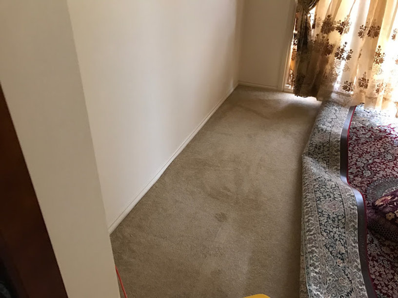 Who Can Save Your Carpet After a Flood? Expert Drying Solutions Explained