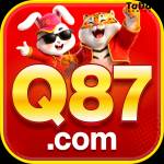 q87 q87 Profile Picture