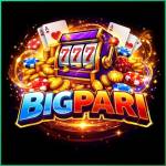 bigpari bigpari Profile Picture