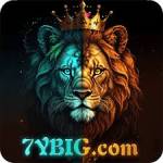 7ybig 7ybig Profile Picture