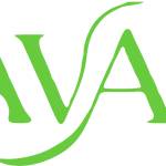 Aavari fashin Profile Picture