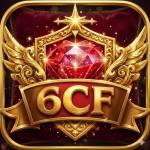 6cf 6cf Profile Picture