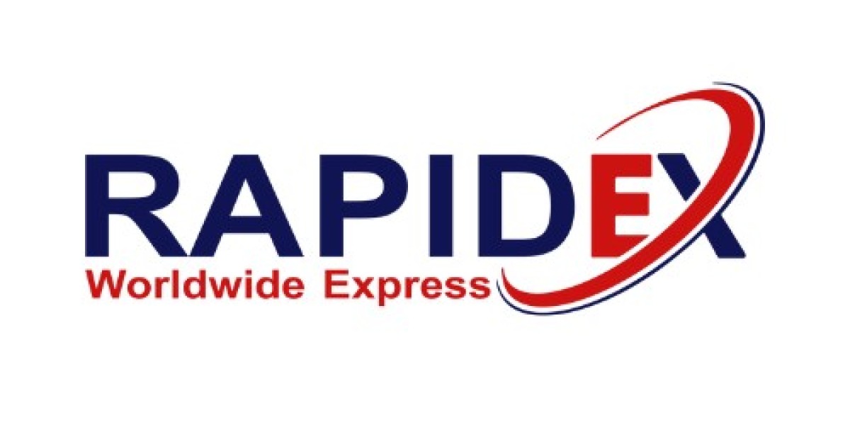 Who Provides the Fastest Courier from India to South Africa?