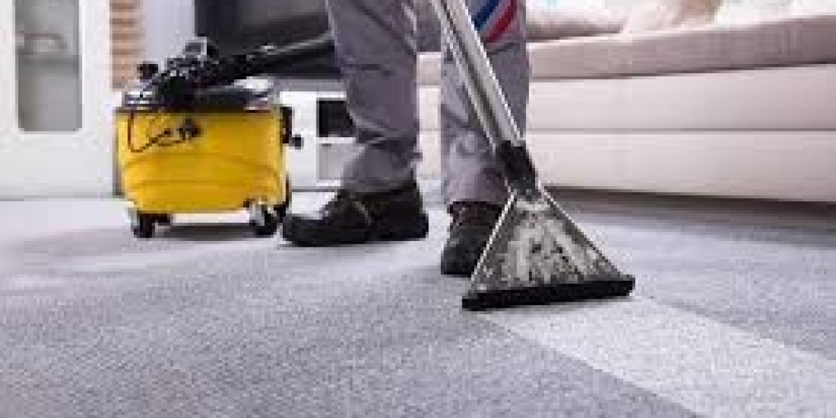 Why Carpet Cleaning Services Are a Practical Choice for Homeowners