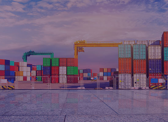 Logistics Institute in Calicut | Diploma & SCM Courses