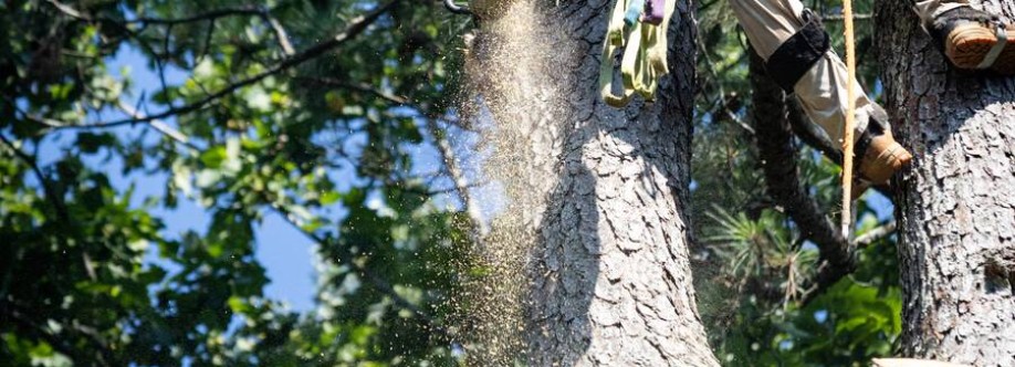 Driscoll Tree Service Cover Image