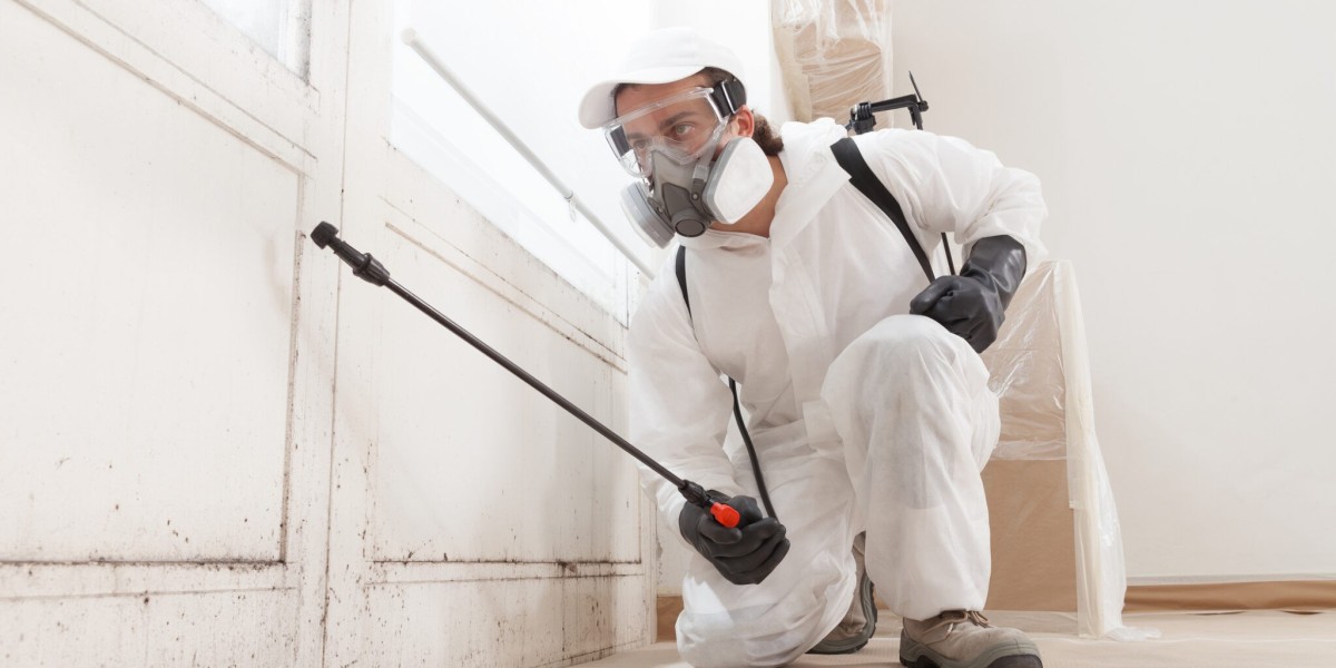 Advanced Remediation Methods From a Trusted Deep Mould Cleaning Company