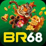 br68 br68 Profile Picture