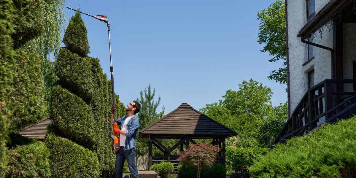 Commercial Lawn Maintenance in Mississauga for Professional Properties