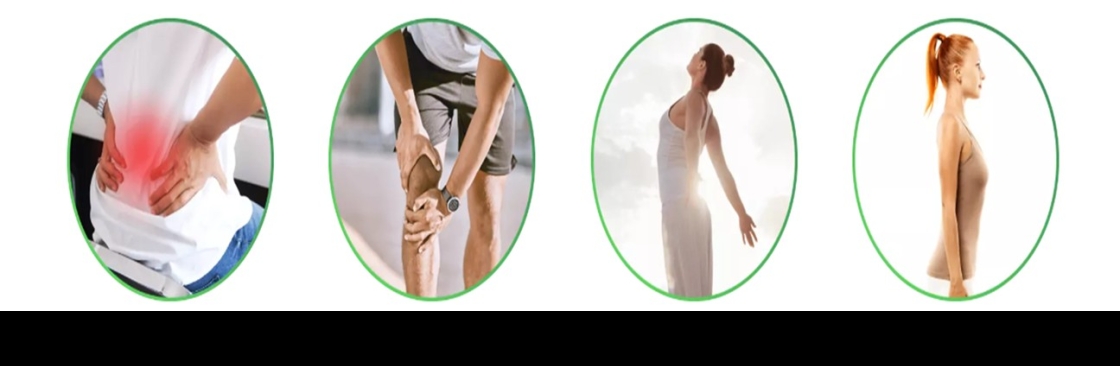 The Holistic Move Cover Image