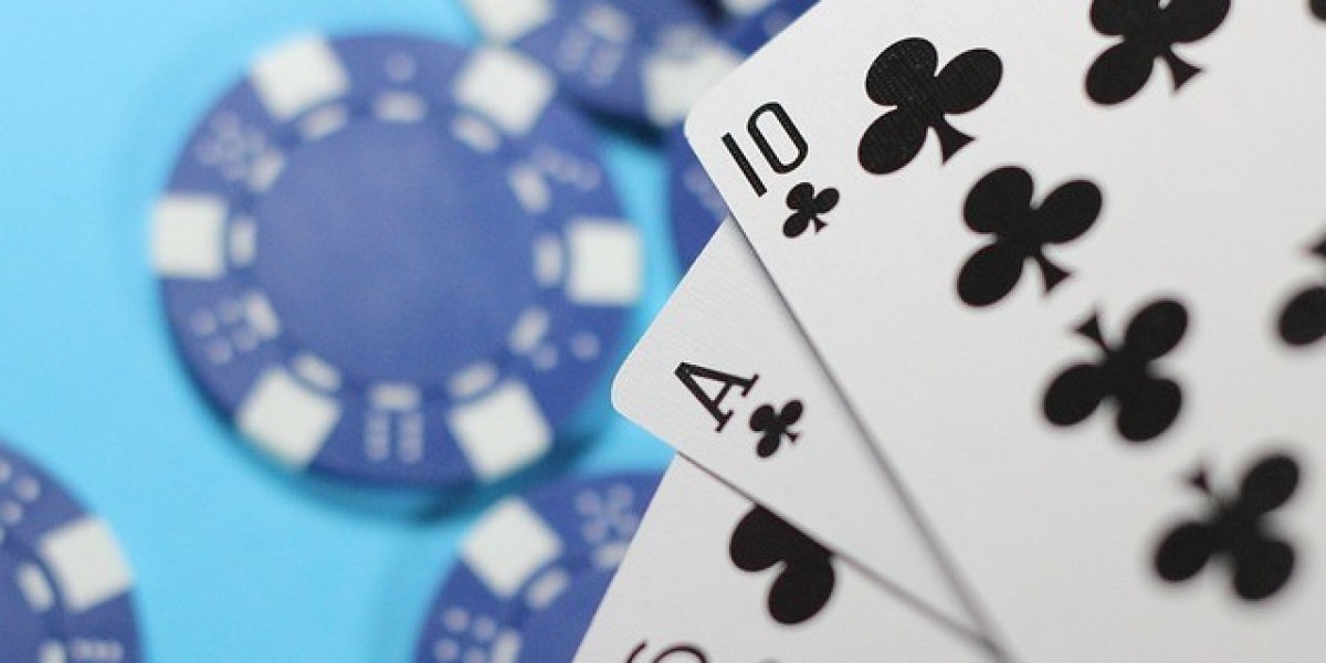 Bitcoin Casino Test 2026 Erste Anbieter Im Vergleich