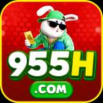 955h 955h Profile Picture