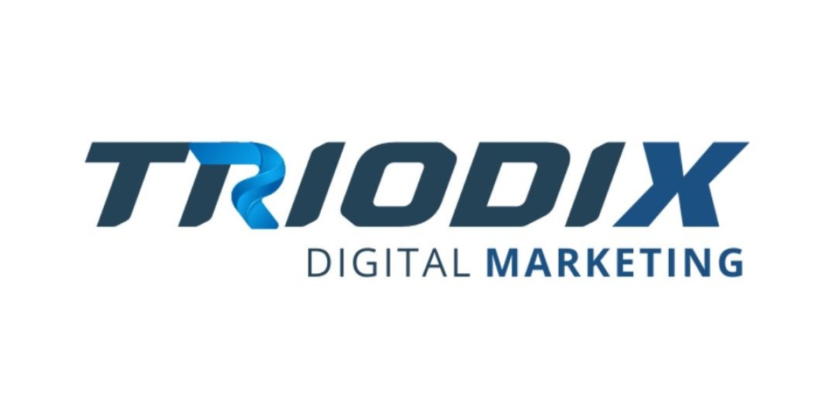 The Complete Guide to Digital Marketing Audit Services for Professional Services Firms