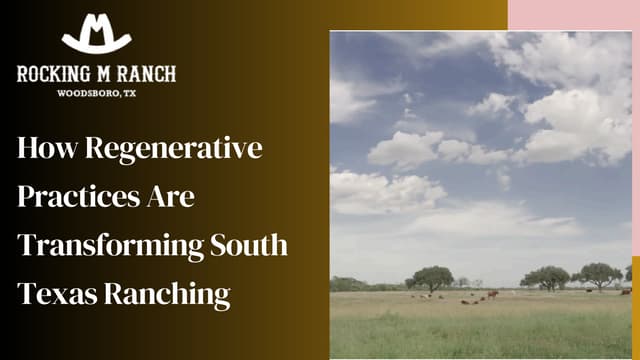 How Regenerative Practices Are Transforming South Texas Ranching | PDF