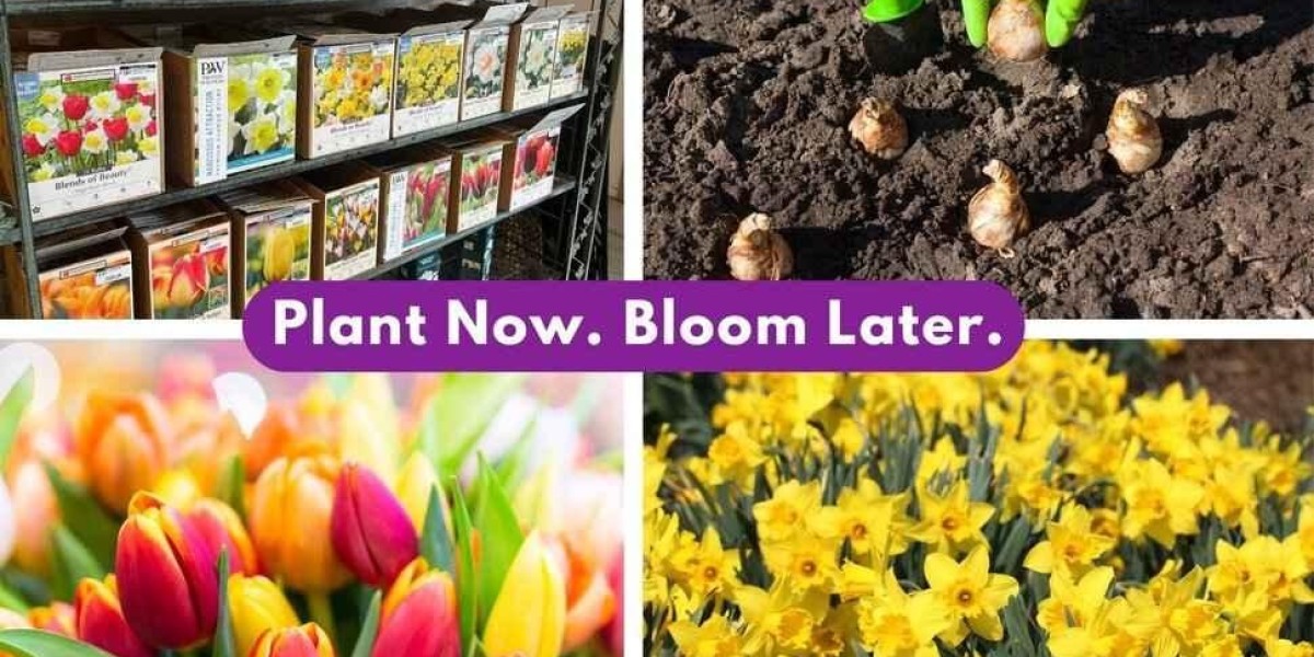 Spring Bulbs & California Native Garden Ideas | Evergreen