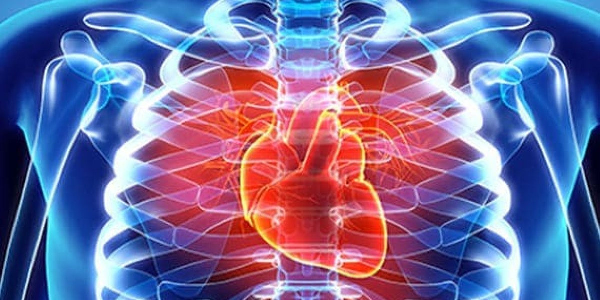 Traditional Chinese Medicine Singapore: Personalized Care at HSI Chinese Medicine