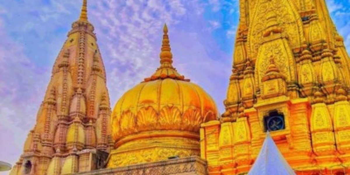 Paquete Kashi Vishwanath Darshan