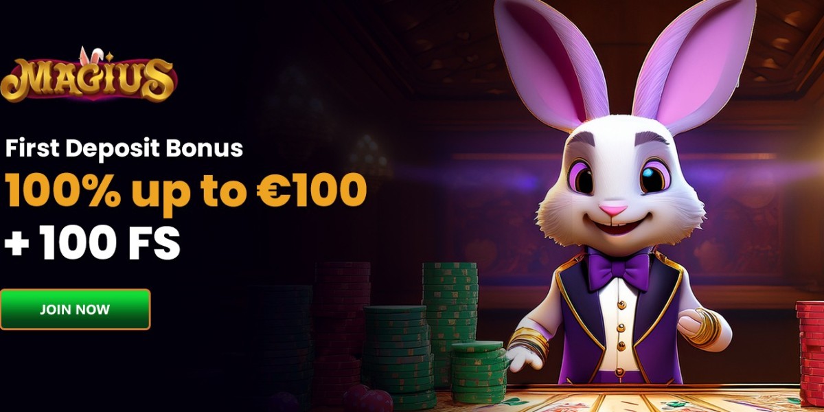 Beter spelen met legale slots bij het Magius Casino team