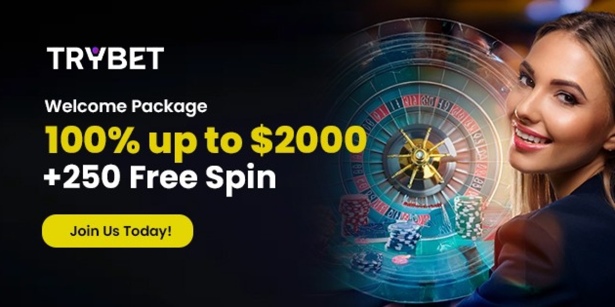 Trybetcasino Online Slots Match Modern Canadian Habits