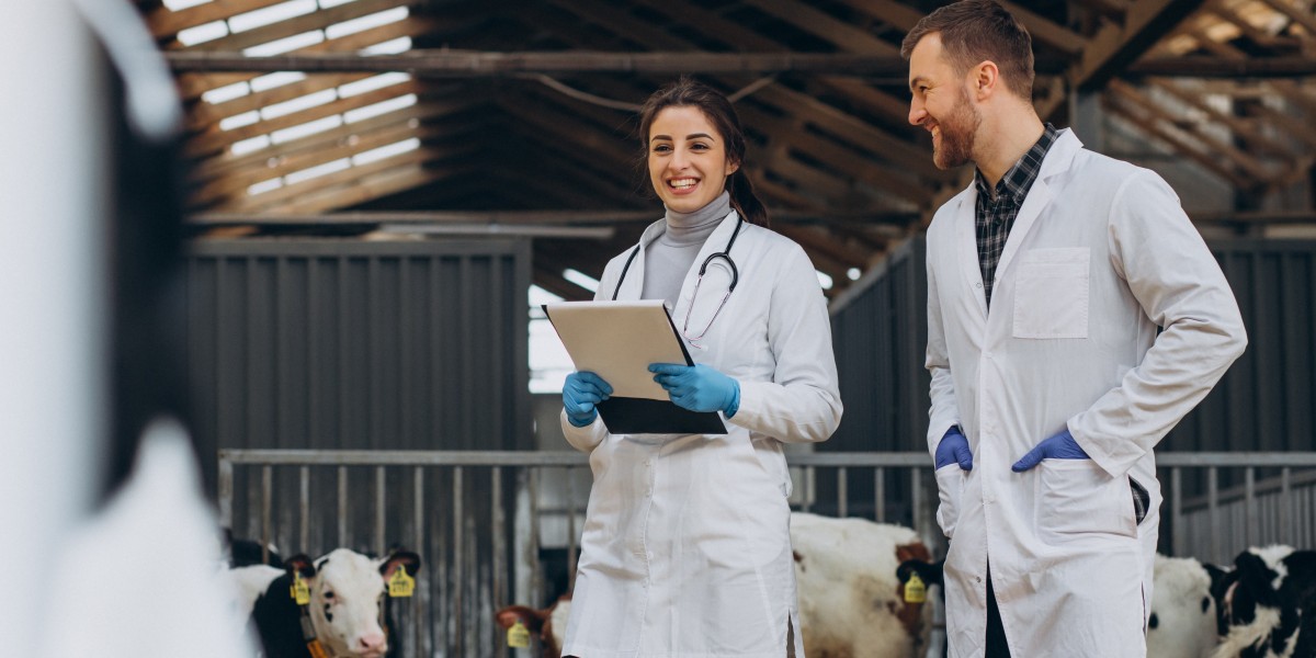 Companion Animal Diagnostic Services Market Analysis: Investment, Innovation, and Growth Opportunities Through 2034