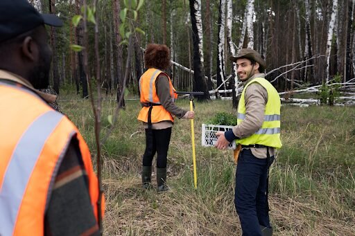 Environmental Remediation Services & Site Mapping Guide