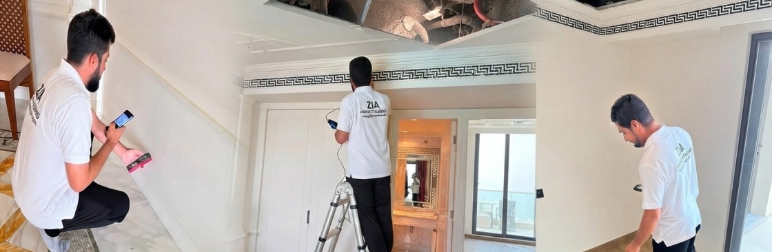 Building Inspector Cover Image