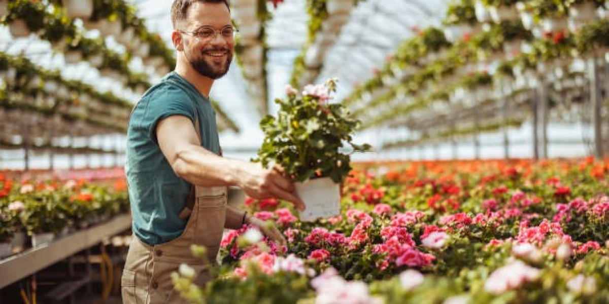 Florist in Ajman – 7 Powerful Tips to Choose the Best Flowers & Services