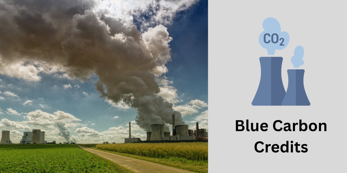 Blue Carbon Credits & Coastal Ecosystem Projects