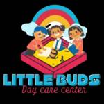 Little Buds Preschool and Day Care Center Profile Picture