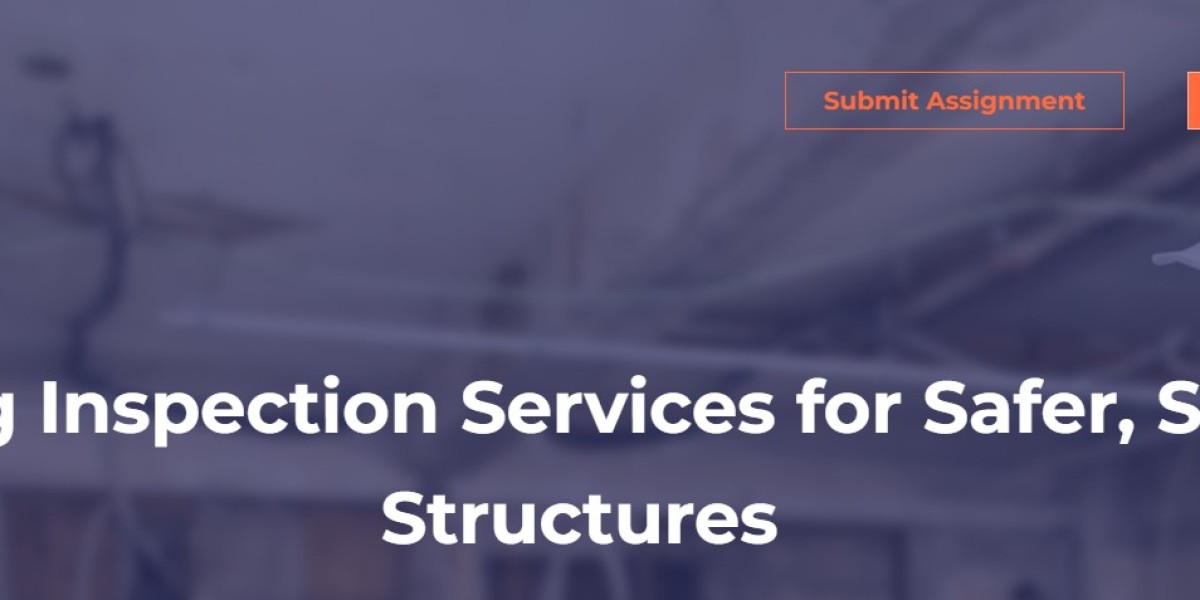 Building Inspection Services in the USA: Protecting Your Property with Expert Evaluations