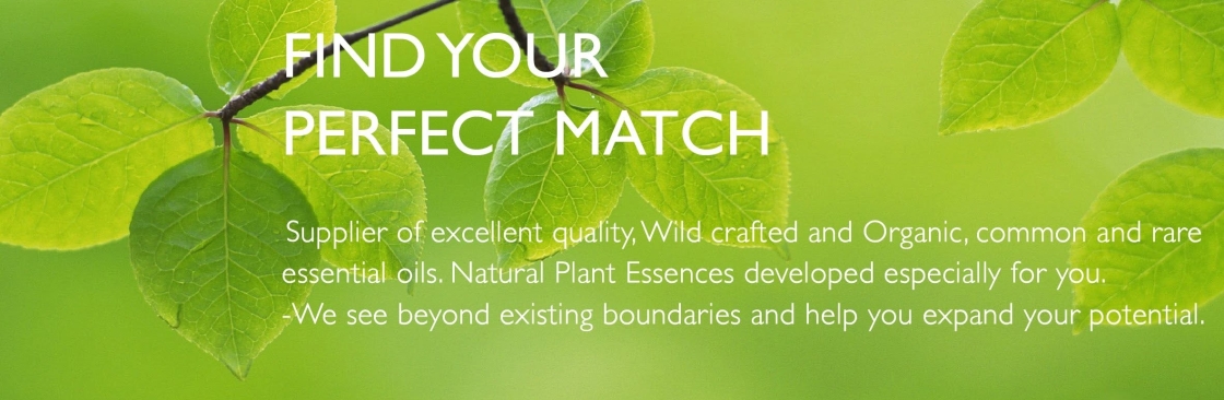 Plants Power Cover Image