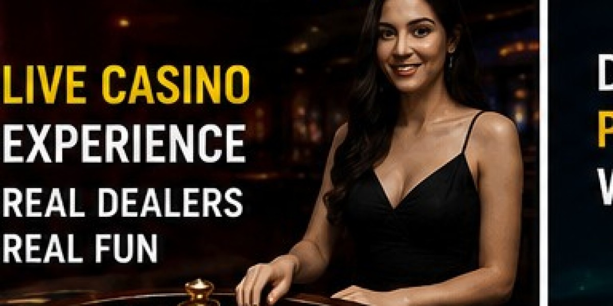 Everything You Need to Know About Online Gaming – Cricbet99 Live Casino