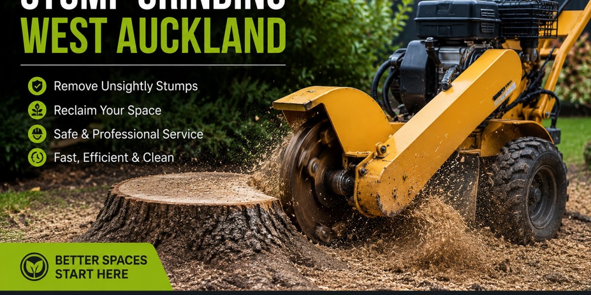 Stump Grinding West Auckland: Why Removing Old Tree Stumps Matters