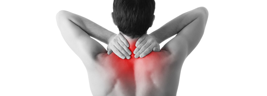 Manchester Chiropractors Cover Image