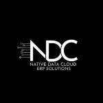NDC ERP Profile Picture