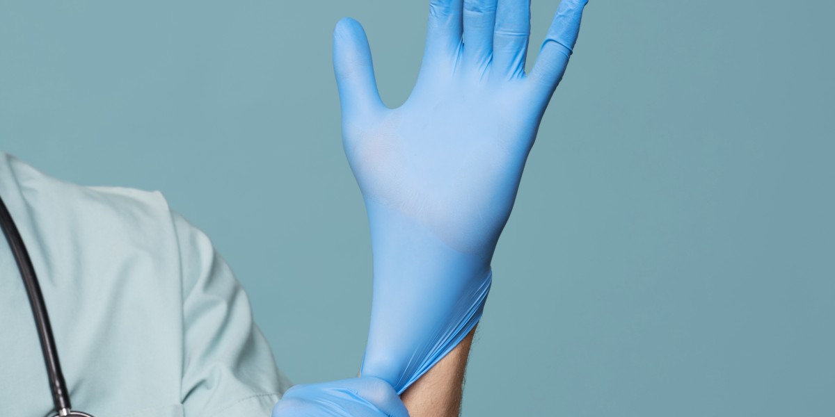 Disposable Gloves Market Analysis: Investment, Innovation, and Growth Opportunities Through 2034