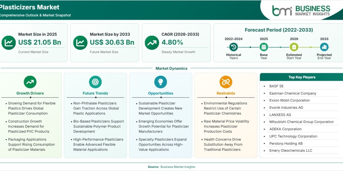 Plasticizers Market Forecast to Reach US$30.63 Billion by 2033