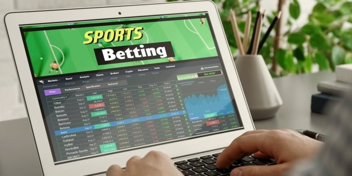 How UAE Bettors Can Assess Sports Betting Sites