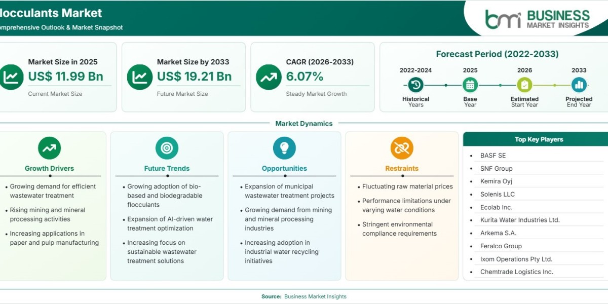 Flocculants Market Growth Outlook Points to US$19.21 Billion by 2033