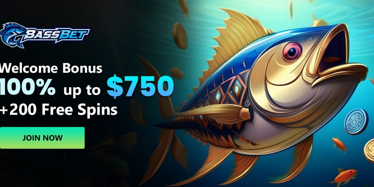 Bassbet Bet Sizing Rules that Help Protect Your Stake