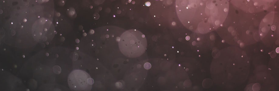 Skill Craft Body Shop Cover Image